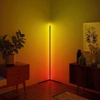 LichtGlans Hoeklamp
