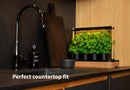 Auk Mini Bundle - modernized.nl