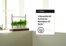 Auk Mini Bundle - modernized.nl