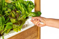 The Ultimate Click & Grow 25: Your Smart Indoor Garden Solution - modernized.nl