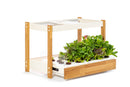 The Ultimate Click & Grow 25: Your Smart Indoor Garden Solution - modernized.nl