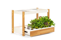 The Ultimate Click & Grow 25: Your Smart Indoor Garden Solution - modernized.nl