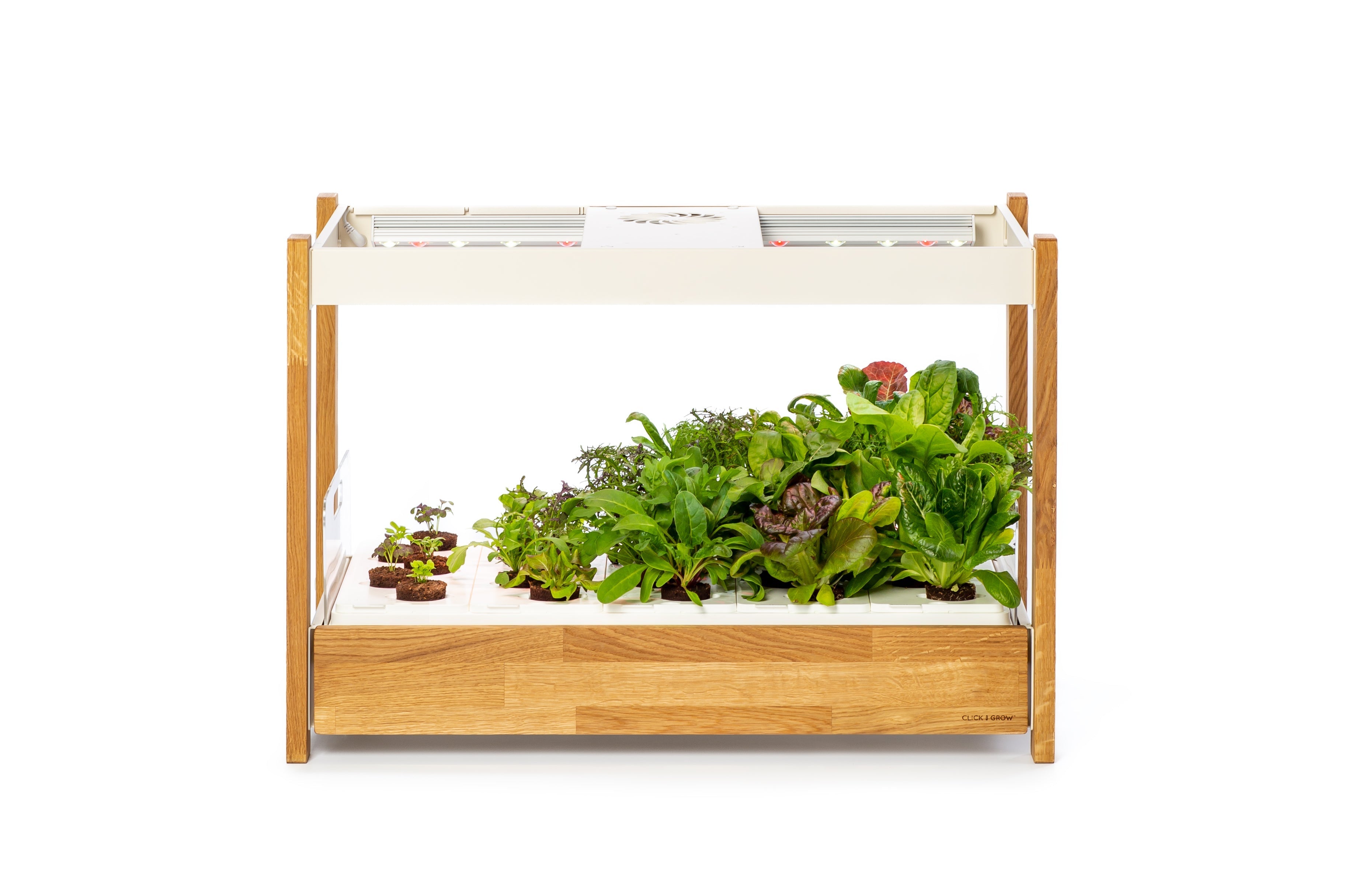 The Ultimate Click & Grow 25: Your Smart Indoor Garden Solution