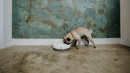 Cat Mate Three-meal Automatic Pet Feeder with Digital Timer (C300) - modernized.nl
