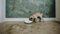 Cat Mate Three-meal Automatic Pet Feeder with Digital Timer (C300) - modernized.nl