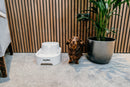 Spacious Two-Tiered 6-Litre Pet Water Fountain – Elegant White (Model 385E) - modernized.nl