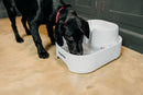 Spacious Two-Tiered 6-Litre Pet Water Fountain – Elegant White (Model 385E) - modernized.nl