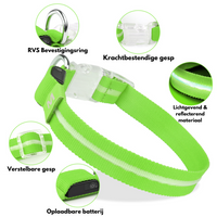GlowGuard Lichtgevende LED Hondenhalsband | Groen