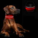 GlowGuard Lichtgevende LED Hondenhalsband | Zwart