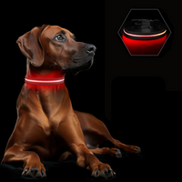 GlowGuard Lichtgevende LED Hondenhalsband | Zwart