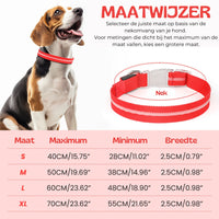 GlowGuard LED Hondenhalsband | Rood