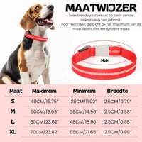 GlowGuard LED verlichte Hondenhalsband hond | Roze