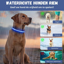 GlowGuard LED verlichte Hondenhalsband | Blauw
