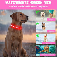 GlowGuard LED verlichte Hondenhalsband hond | Roze