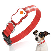 GlowGuard LED Hondenhalsband | Rood