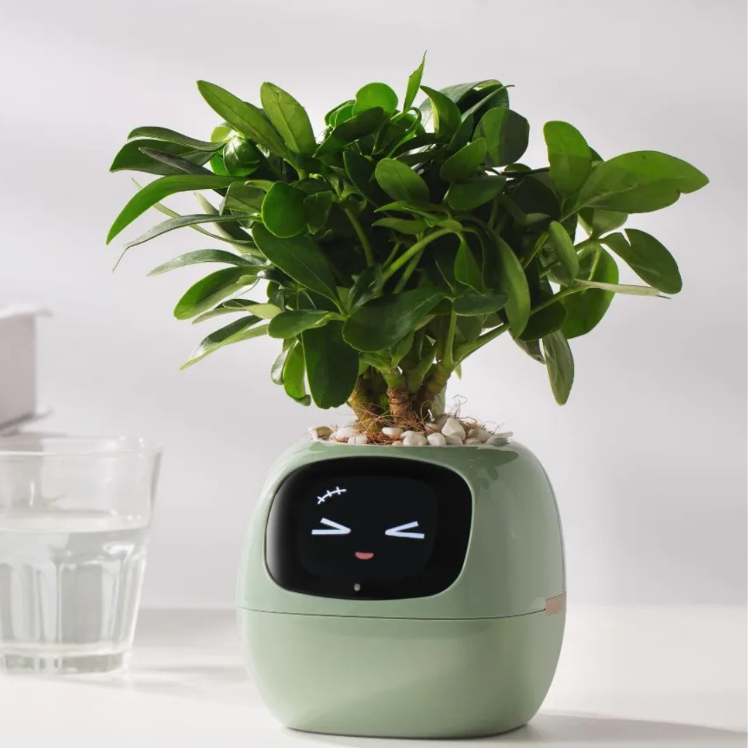 PlantenVriend – Interactieve Slimme Bloempot