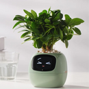 PlantenVriend – Interactieve Slimme Bloempot - modernized.nl