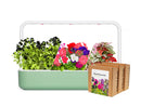 Exclusive "Vibrant Flower" Art Kit – Limited Edition Delight! - modernized.nl