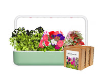 Exclusive "Vibrant Flower" Art Kit – Limited Edition Delight! - modernized.nl