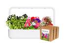 Colorful "Vibrant Blossom" Craft Set - modernized.nl