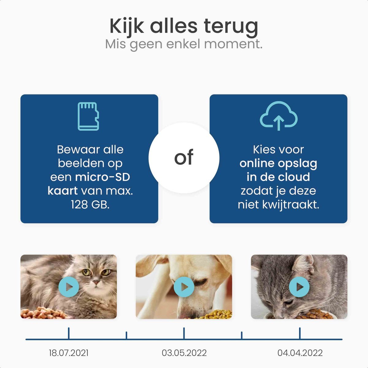 Automatische voerbak - modernized.nl