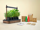 Auk Mini Bundle - modernized.nl