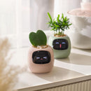Interactieve Slimme Ivy Bloempot