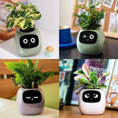 Interactieve Slimme Ivy Bloempot