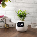 Interactieve Slimme Ivy Bloempot
