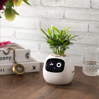 Interactieve Slimme Ivy Bloempot