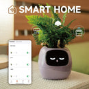 Interactieve Slimme Ivy Bloempot
