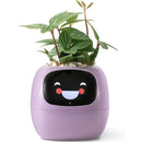 Interactieve Slimme Ivy Bloempot
