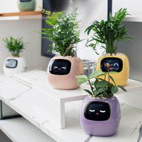 Interactieve Slimme Ivy Bloempot