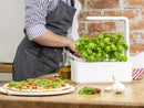 Elevate Your Indoor Greenery with the Smart Garden 3 - modernized.nl