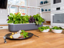 The Innovative Smart Garden 9 - modernized.nl