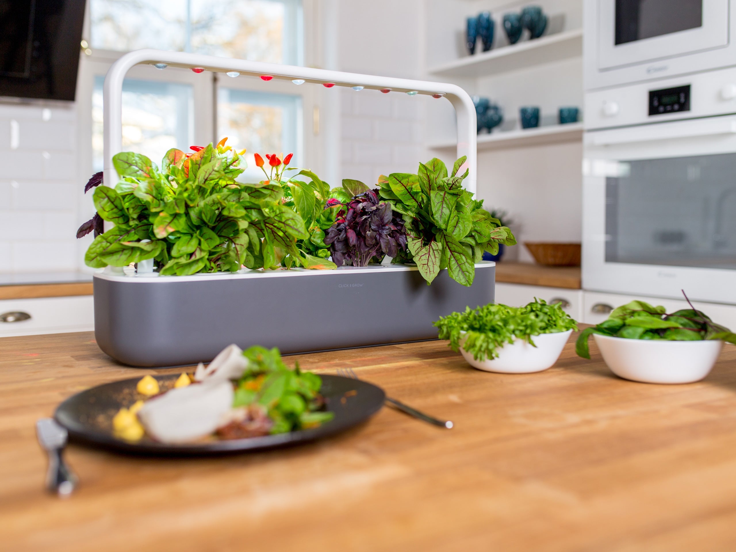 The Innovative Smart Garden 9 - modernized.nl