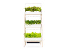 Elevate Your Home with the Smart Garden 27! - modernized.nl