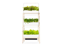 Elevate Your Home with the Smart Garden 27! - modernized.nl