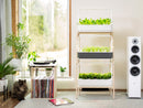 Elevate Your Home with the Smart Garden 27! - modernized.nl