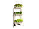 Elevate Your Home with the Smart Garden 27! - modernized.nl