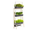 Elevate Your Home with the Smart Garden 27! - modernized.nl