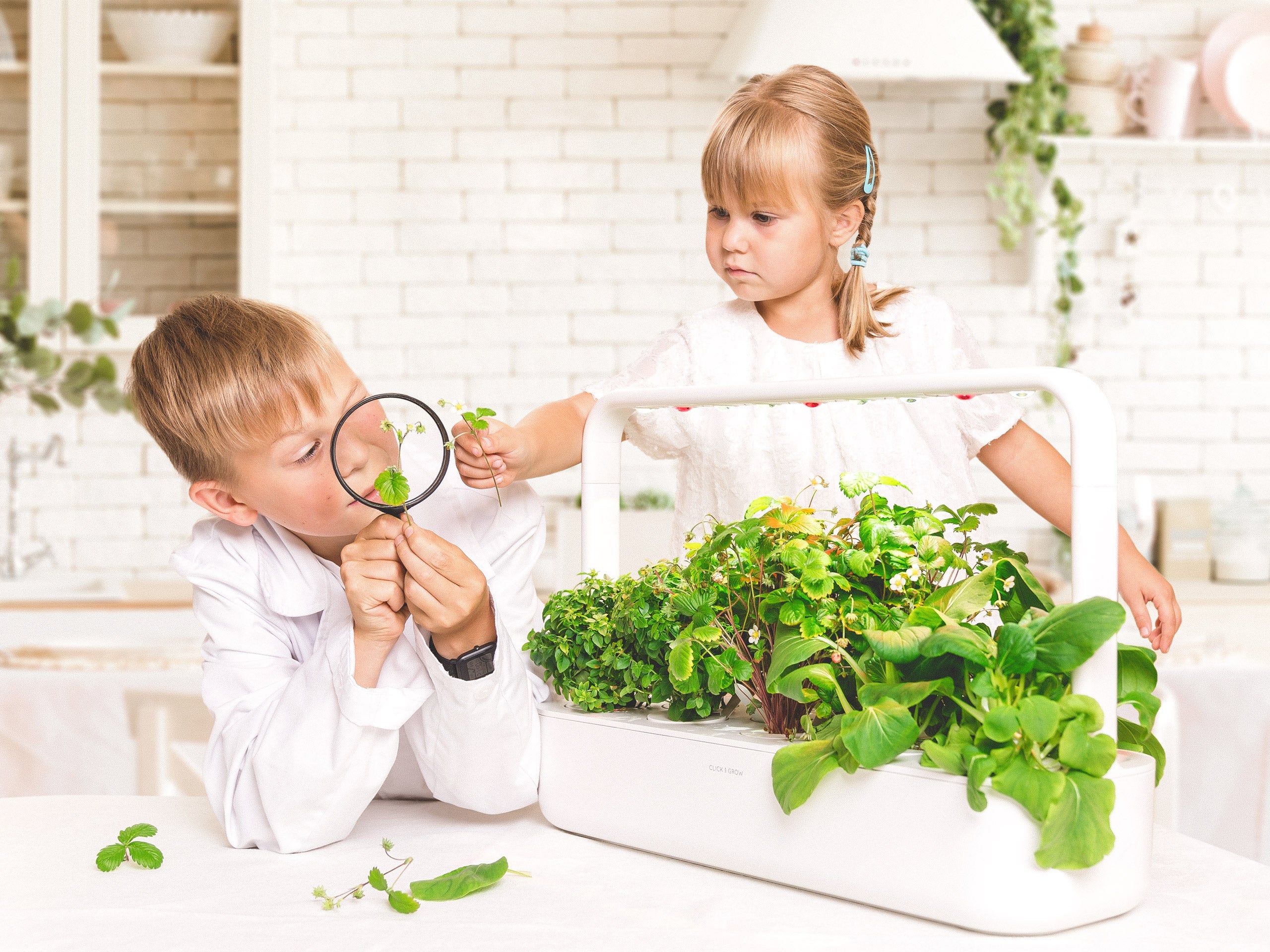 The Innovative Smart Garden 9 - modernized.nl