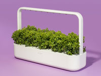 The Innovative Smart Garden 9 - modernized.nl
