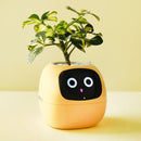 Interactieve Slimme Ivy Bloempot