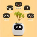 Interactieve Slimme Ivy Bloempot
