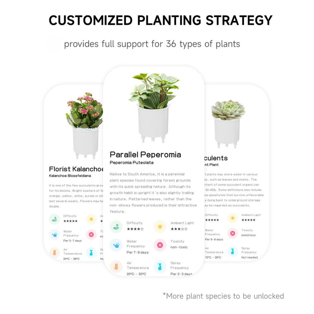 Interactieve Slimme Ivy Bloempot