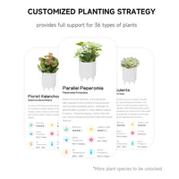 Interactieve Slimme Ivy Bloempot