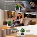Interactieve Slimme Ivy Bloempot