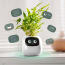 Interactieve Slimme Ivy Bloempot