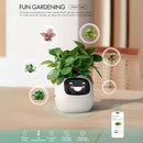 Interactieve Slimme Ivy Bloempot